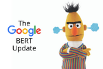 Google Algorithm BERT Update